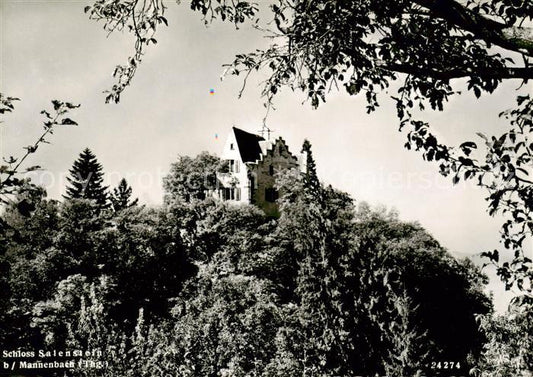 13811305 Mannenbach-Salenstein TG Château de Salenstein