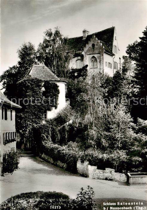 13811306 Mannenbach-Salenstein TG Château de Salenstein