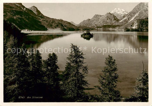 13811618 Sils Maria GR Panorama Lac Sils Alpes