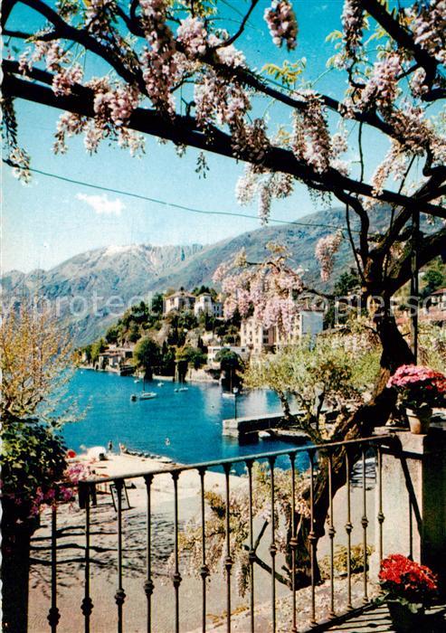 13814927 Ascona Lac Majeur TI Collina S Michele