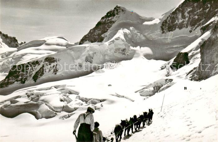 13815718 Jungfraujoch 3457m ​​​​BE avec Rottalhorn et traîneau à chiens polaires