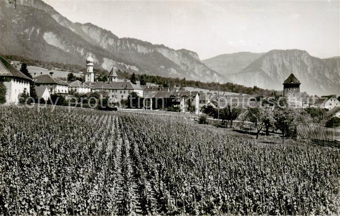 13815749 Maienfeld GR Panorama