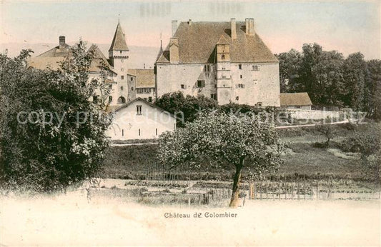 13815761 Colombier NE Château de Colombier