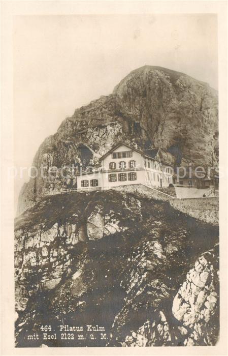 13815762 Pilatus Kulm OW Pilatus-Kulm Hôtel avec âne