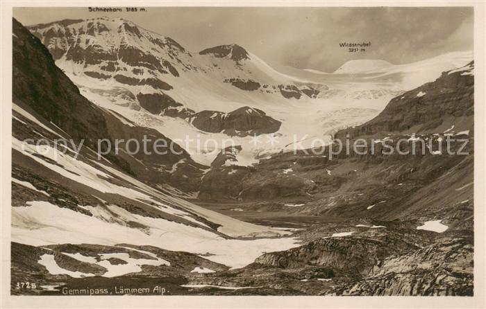 13816020 Col de Gemmi 2322m VS Laemmern Alp Schneehorn Wildstrubel