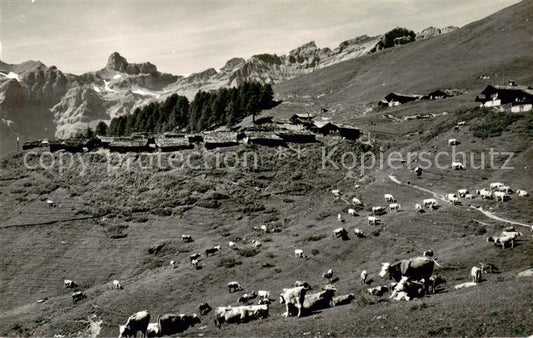 13816129 Torrentalp 2470m Albinen VS und Leukerbad mit Trubelnstock