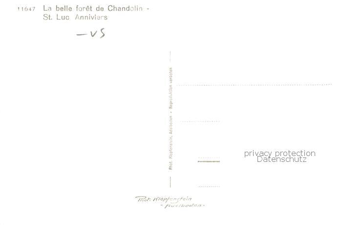 13816139 St Luc VS Anniviers La belle foret de Chandolin