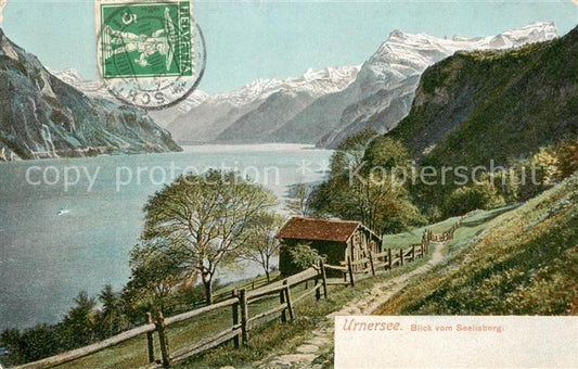 13816285 Urnersee Blick vom Seelisberg Urnersee