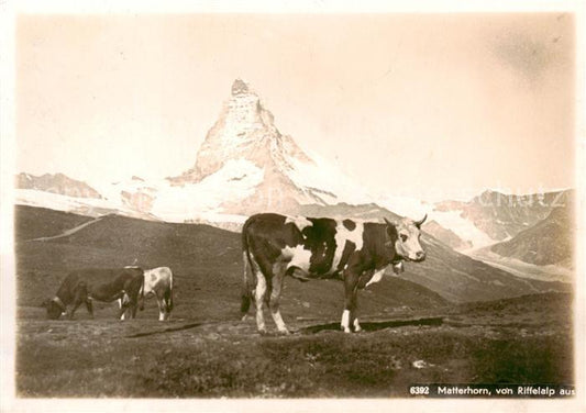 13816478 Riffelalp VS Blick zum Matterhorn