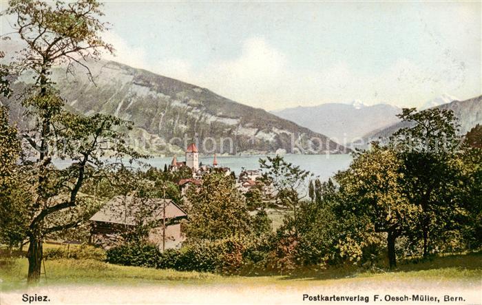 13816175 Spiez Thunersee BE Panorama Spiez Thunersee BE