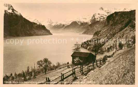 13816398 Seelisberg UR Panorama Blick auf Bristenstock und Urirotstock Glarner A