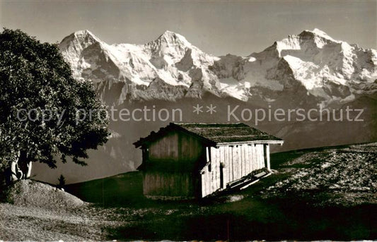 13817126 Beatenberg Thunersee BE Amisbuehl Eiger Moench Jungfrau