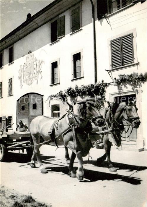 13819025 Neunkirch SH Charrette à chevaux de ferme