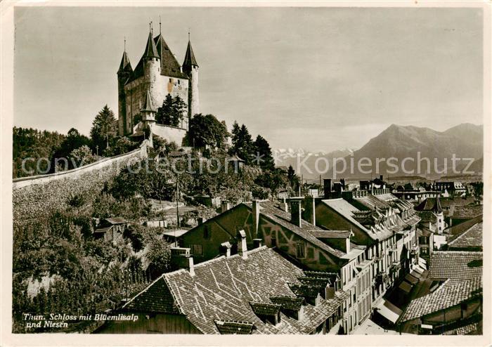 13819054 Thun BE Château avec Bluemlisalp et Niesen Thun BE