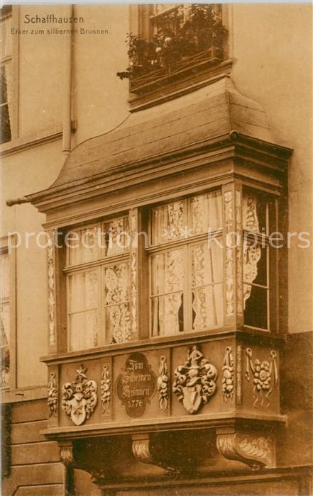 13819231 Schaffhausen SH Baie vitrée à la fontaine d'argent