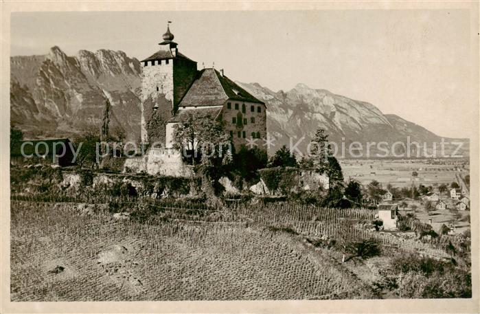 13823568 Buchs  Buchs-Werdenberg SG Schloss Werdenberg