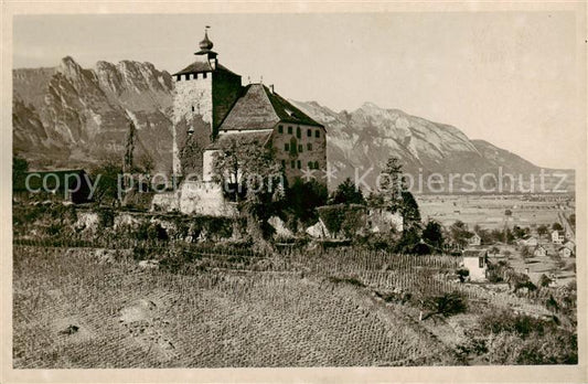 13823568 Buchs Buchs-Werdenberg SG Château de Werdenberg