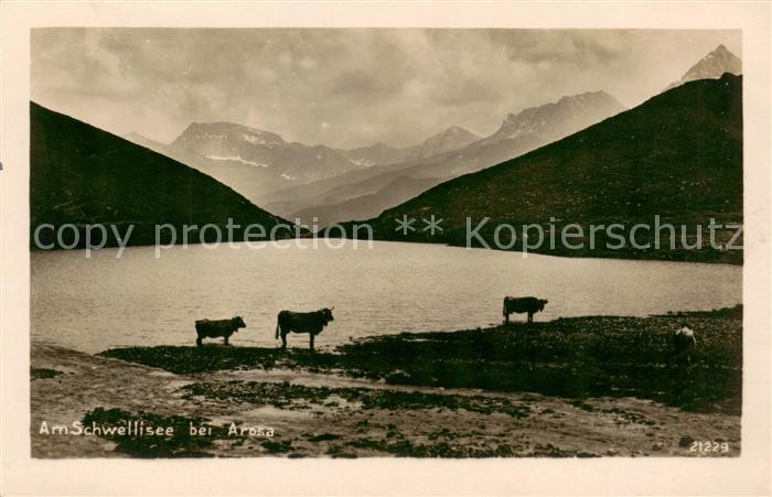 13824919 Arosa GR Am Schwellisee Militaerpost Arosa GR