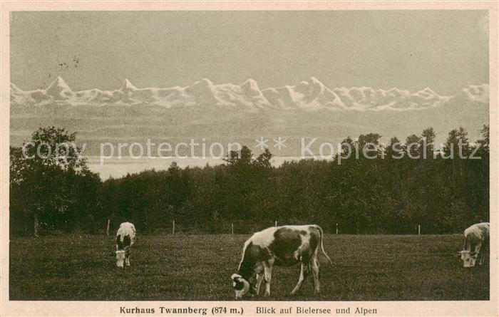 13824933 Twann BE Kurhaus Twannberg avec vue sur le lac de Bienne et les Alpes