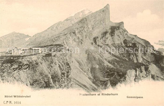 13828381 Gemmipass 2322m VS mit Hotel Wildstrubel Plattenhorn und Rinderhorn