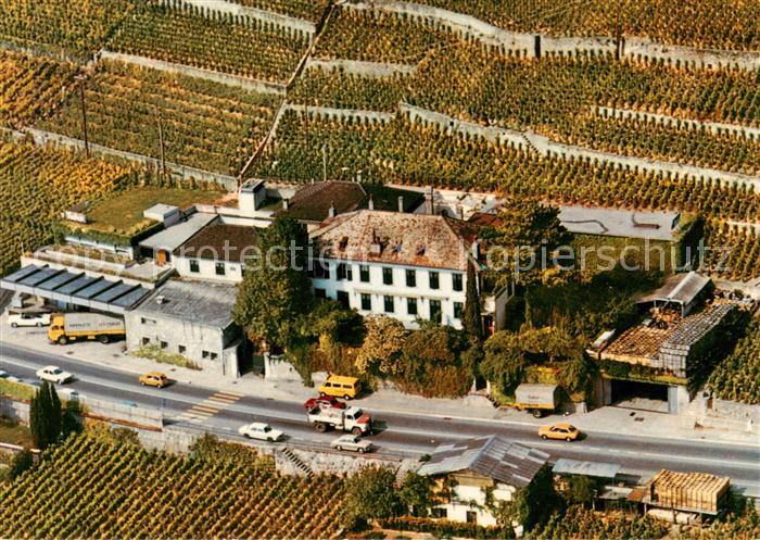 13837509 Treytorrens VD Domaine Jean et Pierre Testuz Vue aerienne