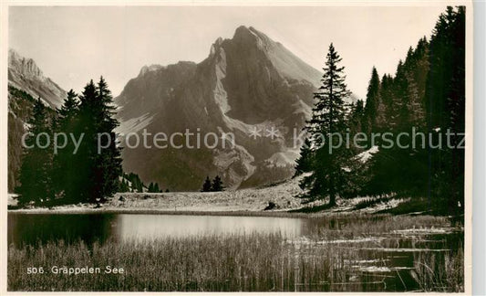 13841875 Graeppelensee Wildhaus SG Panorama