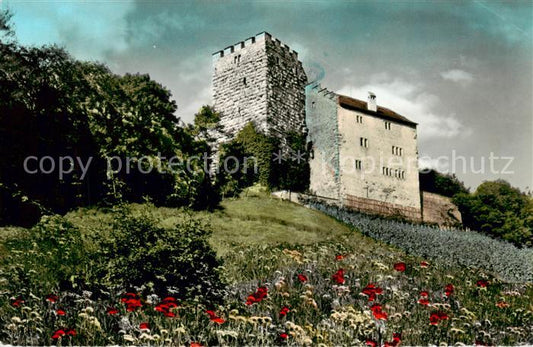 13842696 Habsburg Schloss AG Château de Habsbourg