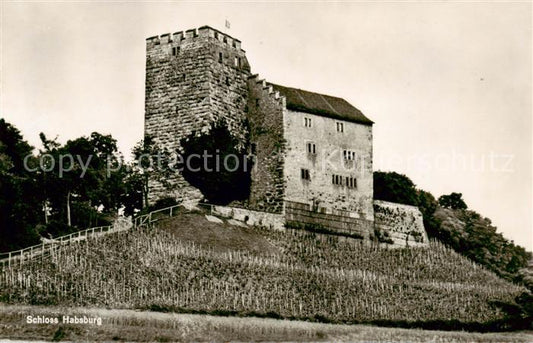 13842697 Habsburg Schloss AG Ruines du château des Habsbourg