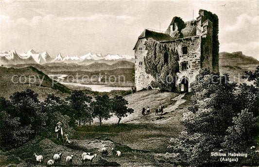 13842699 Habsburg Schloss AG Château de Habsbourg