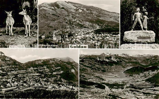 13842707 Goldau Arth SZ Monument panoramique des glissements de terrain du parc naturel et animalier