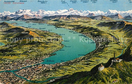 12995066 Zuerich ZH und Umgebung Zuerichsee Alpenpanorama aus der Vogelperspekti