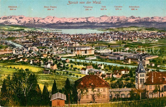 12995067 Zuerich ZH Panorama Blick von der Waid Alpenblick Zuerich