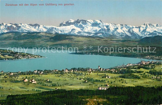 12995078 Zuerichsee ZH avec les Alpes vues du lac d'Uetliberg Zuerich