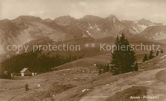 13012798 Arosa GR Praetschli Panorama alpin Arosa