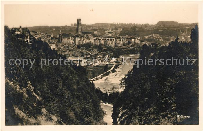 13069069 Fribourg FR Panorama Fribourg