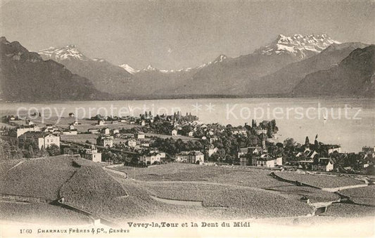 13078578 Vevey VD Panorama Lac Léman et Dent du Midi Alpes Vevey