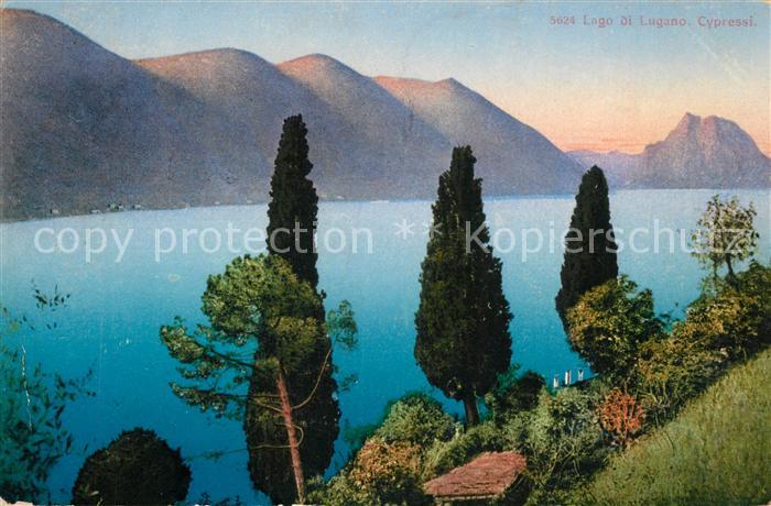 43114696 Lago di Lugano TI Cypressi Zypressen Landschaftspanorama Alpen Natur