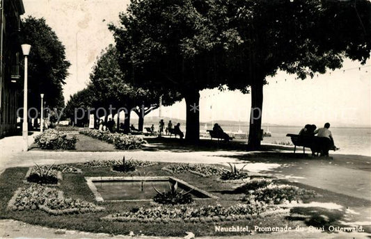 13191223 Neuchâtel NE Promenade du Quai Osterwald Neuchâtel NE