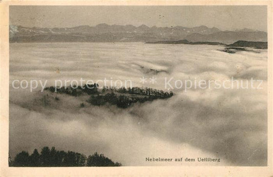 13205513 Zuerich ZH Nebelmeer auf dem Uetliberg Zuerich ZH