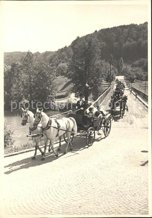 11621547 Frauenfeld Hochzeitskutsche mit Hochzeitsgaesten in Pferdekutschen