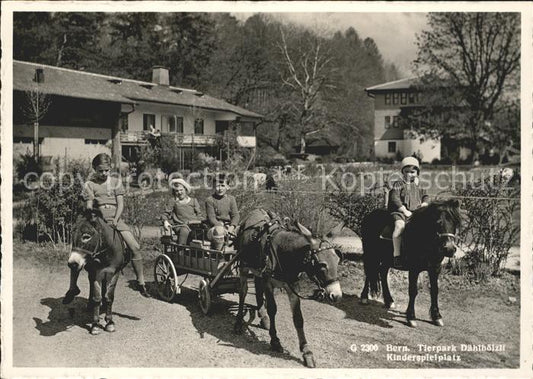 11625422 Bern BE Tierpark Kinder Esel