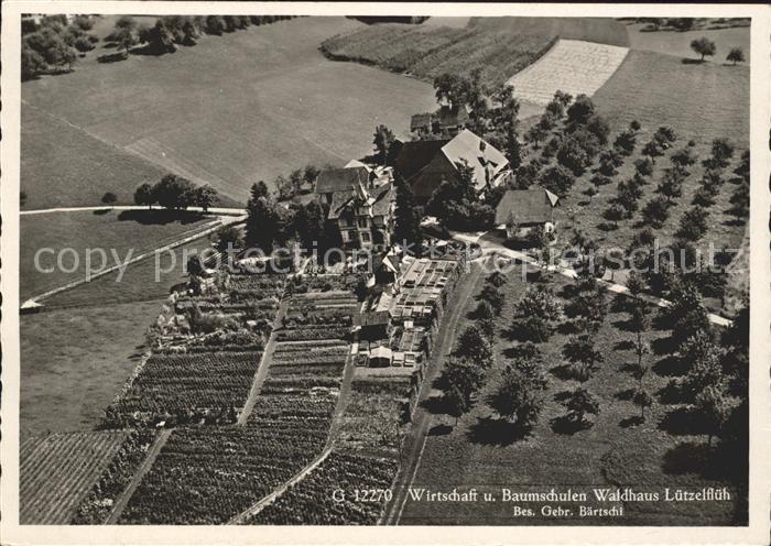 11625470 Luetzelflueh-Goldbach Fliegeraufnahme Wirtschaft und Baumschulen Waldha