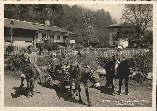 11640070 Bern BE Tierpark Daehlhoelzli Kinderspielplatz Esel Pony