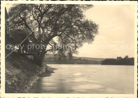 11621892 Rheinfelden AG Rhein Rheinfelden