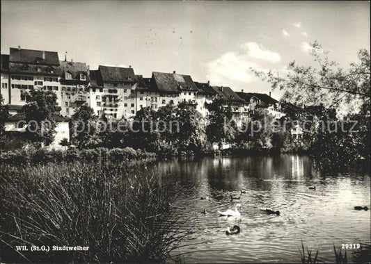 11626558 Wil SG Partie am Stadtweiher Schwan Enten Wil SG