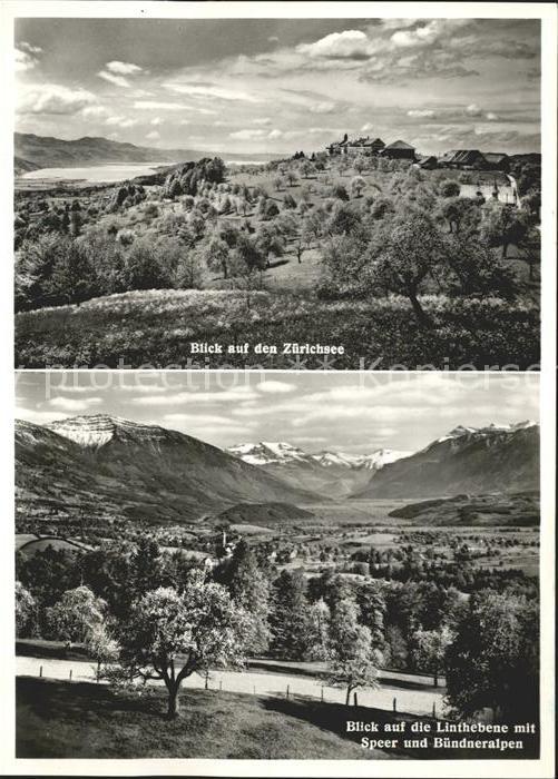 11629218 Uetliburg SG Panorama Blick auf Zuerichsee Kloster Berg Sion Linthebene