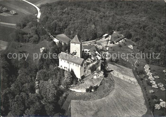 11629469 Stetten SH Schloss Herblingen Fliegeraufnahme Serie Arts et Antiquites