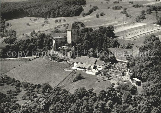 11629850 Stetten SH Schloss Herblingen Fliegeraufnahme