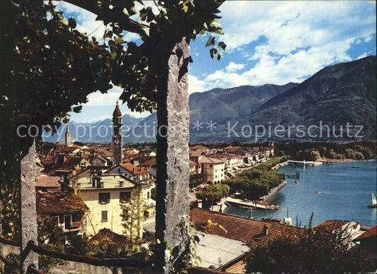 11631336 Ascona TI Panorama Lago Maggiore