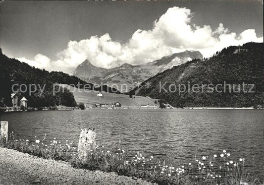 11631452 Glarus GL Uferpartie am Kloentalersee Alpenpanorama